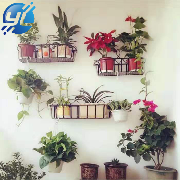 Modern home decoration wall shelf unique novelty small plant pot display rack